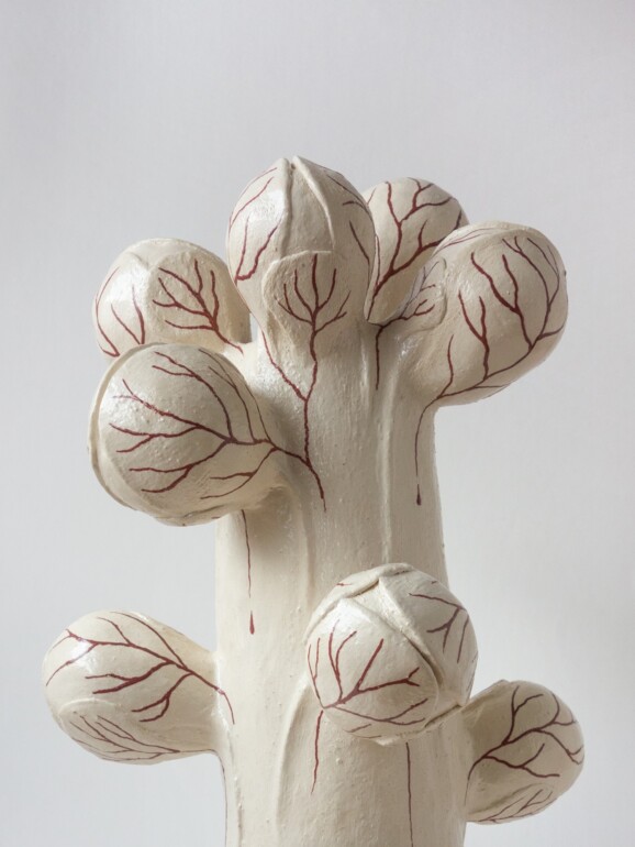 Spruitstamboom Clara Spilliaert