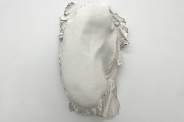 ED It could be MDD landscape SD