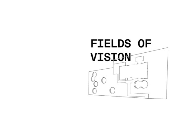 Fields of vision