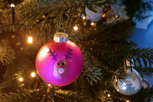 Rendier kerstbal 3