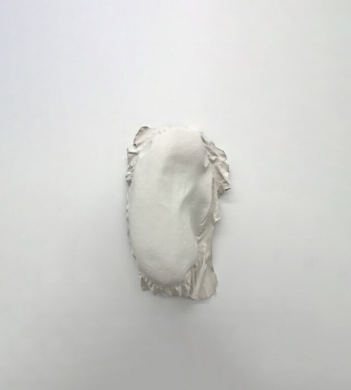 ED It could be MDD landscape SD